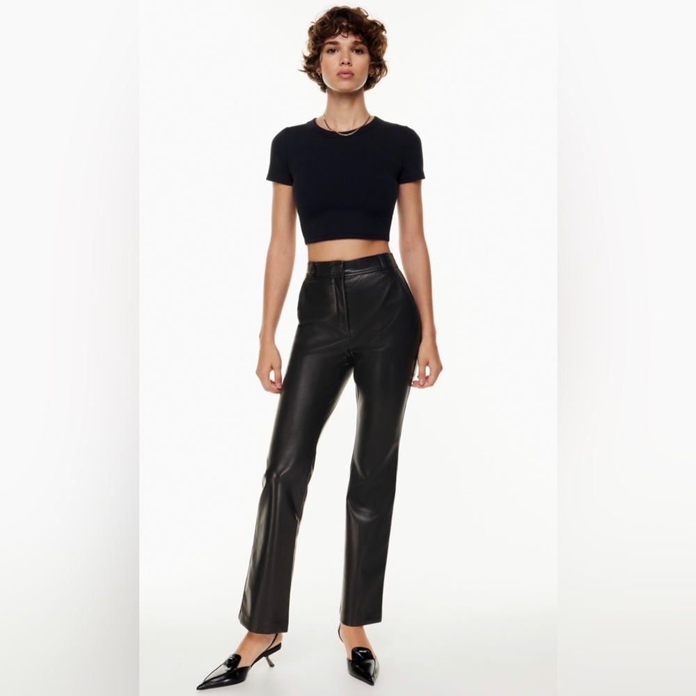 Aritzia Publish pants